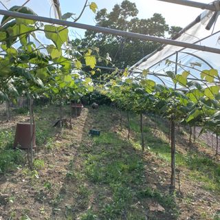 은고개님의 자유주제 · 사진전 작성글 사진