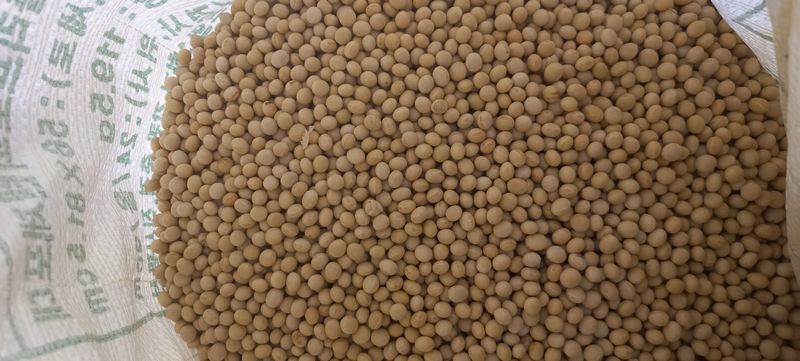 논산 농부 부인님의 장터 판매 상품 [백태1키로 7.000] 첨부 사진