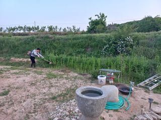 고랑이랑 임수연님의 자유주제 · 자유게시판 작성글 사진