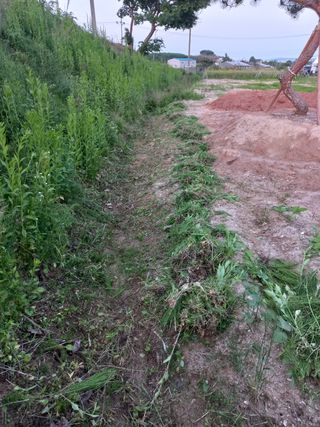 고랑이랑 임수연님의 자유주제 · 자유게시판 작성글 사진