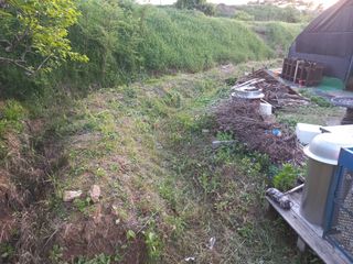 고랑이랑 임수연님의 자유주제 · 자유게시판 작성글 사진