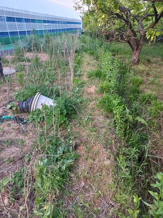 고랑이랑 임수연님의 자유주제 · 자유게시판 작성글 사진