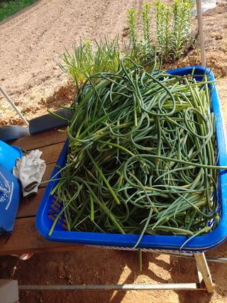 블루아이스님의 자유주제 · 자유게시판 작성글 사진