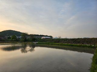 주명숙님의 자유주제 · 사진전 작성글 사진