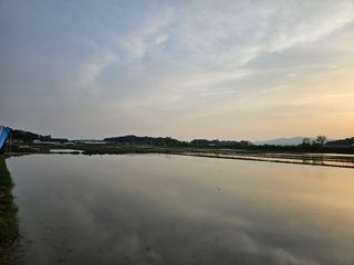 주명숙님의 자유주제 · 사진전 작성글 사진