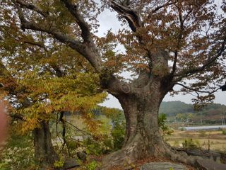 초보농군 정종호님의 자유주제 · 사진전 작성글 사진