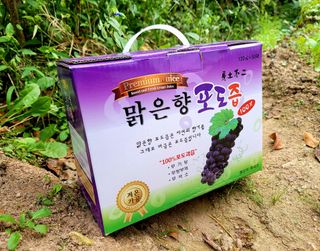 허니캠벨님의 작성글 사진