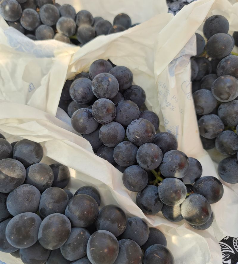 허니캠벨님의 장터 판매 상품 [[품절]꿀봉포도즙] 첨부 사진