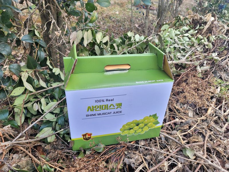 허니캠벨님의 장터 판매 상품 [[품절]꿀봉포도즙] 첨부 사진