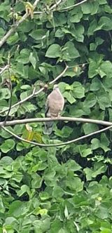 팜모닝 자유주제·사진전 게시글 이미지