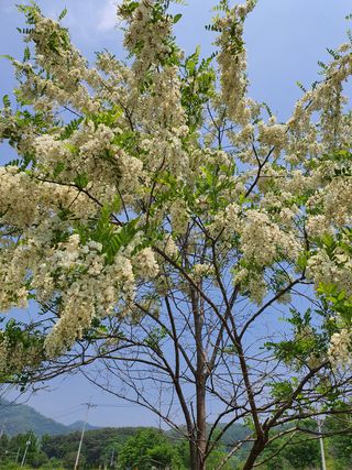 임석진님의 자유주제 · 사진전 작성글 사진