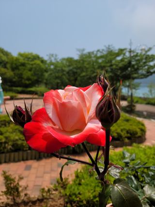 이숲농원님의 우리동네 · 동네자랑 작성글 사진