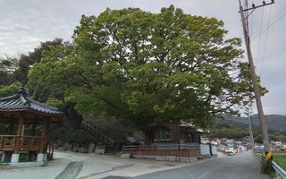 이숲농원님의 우리동네 · 동네자랑 작성글 사진