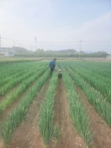 팜모닝 파·자유게시판 게시글 이미지