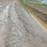 팜모닝 자유주제·사진전 게시글 이미지