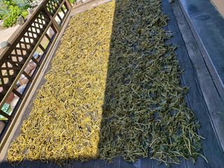 강미화님의 기타작물 · 자유게시판 작성글 사진