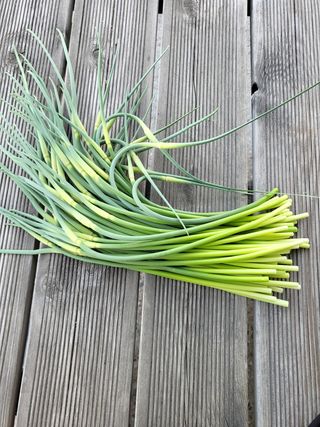 서동예님의 자유주제 · 자유게시판 작성글 사진