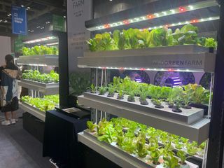 이승하님의 벼 · 자유게시판 작성글 사진