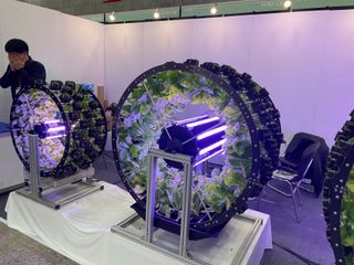 이승하님의 벼 · 자유게시판 작성글 사진