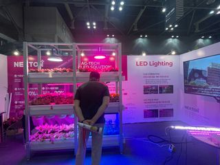 이승하님의 벼 · 자유게시판 작성글 사진