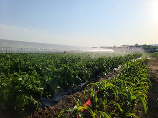 솔바람9님의 자유주제 · 사진전 작성글 사진