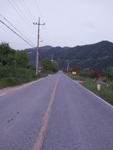 팜모닝 자유주제·사진전 게시글 이미지