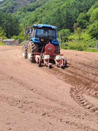 이상기님의 옥수수 · 자유게시판 작성글 사진