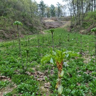물방개(송인국)님의 자유주제 · 사진전 작성글 사진