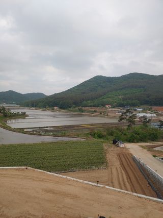 미래6190님의 자유주제 · 사진전 작성글 사진