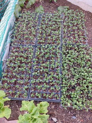 무형교회목사 안영진님의 자유주제 · 사진전 작성글 사진