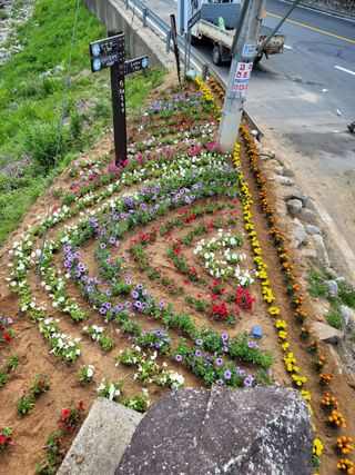 박춘식님의 우리동네 · 동네자랑 작성글 사진