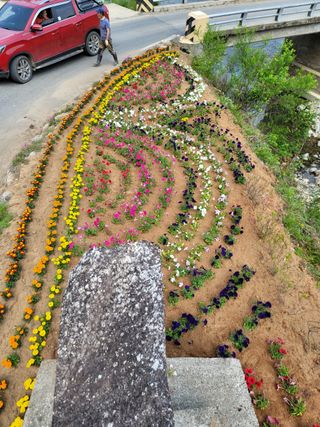 박춘식님의 우리동네 · 동네자랑 작성글 사진