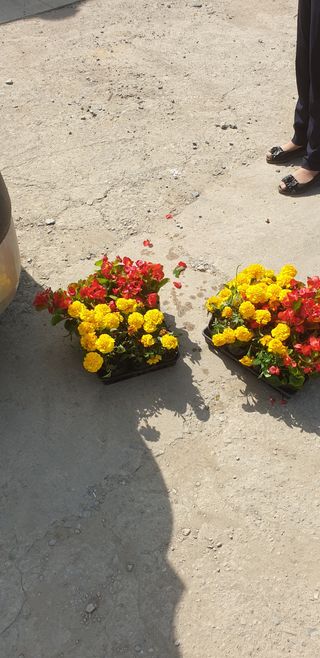 박춘식님의 우리동네 · 동네자랑 작성글 사진