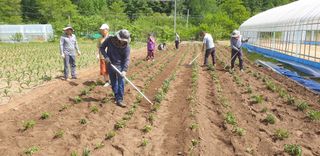 박춘식님의 우리동네 · 동네자랑 작성글 사진