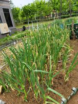 팜모닝 자유주제·사진전 게시글 이미지