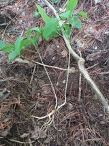 팜모닝 자유주제·자유게시판 게시글 이미지