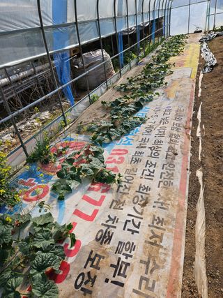 호욱33459725님의 자유주제 · 자유게시판 작성글 사진