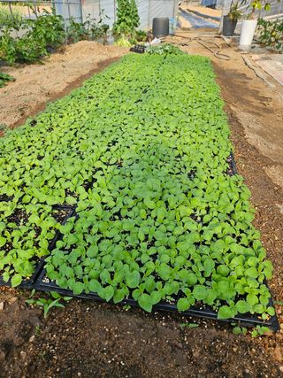 호욱33459725님의 자유주제 · 자유게시판 작성글 사진