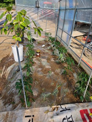 호욱33459725님의 자유주제 · 자유게시판 작성글 사진