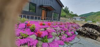 인동초재옥님의 자유주제 · 사진전 작성글 사진