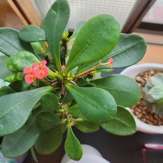 홍종만님의 자유주제 · 사진전 작성글 사진