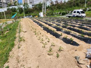 우충명님의 자유주제 · 사진전 작성글 사진