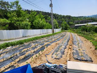 우충명님의 자유주제 · 사진전 작성글 사진