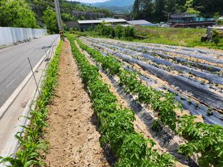 우충명님의 자유주제 · 사진전 작성글 사진