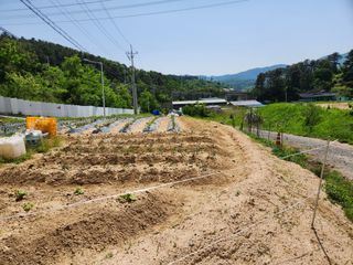 우충명님의 자유주제 · 사진전 작성글 사진