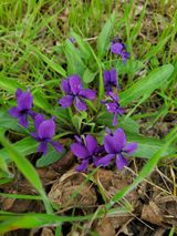 팜모닝 자유주제·사진전 게시글 이미지