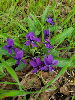 봉우재농부님의 자유주제 · 사진전 작성글 사진