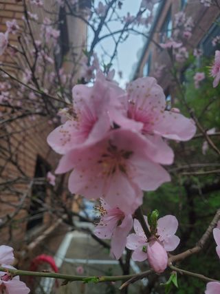 봉우재농부님의 자유주제 · 사진전 작성글 사진