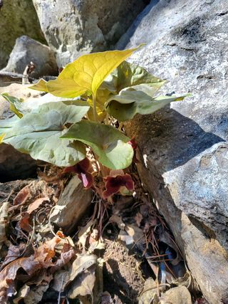 봉우재농부님의 자유주제 · 사진전 작성글 사진