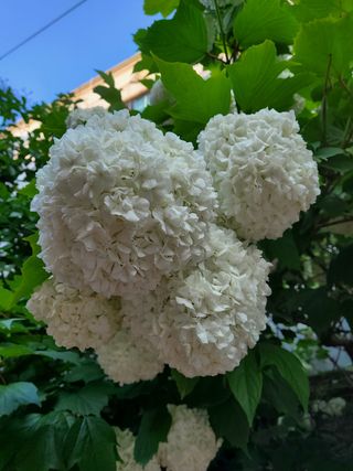 봉우재농부님의 자유주제 · 사진전 작성글 사진